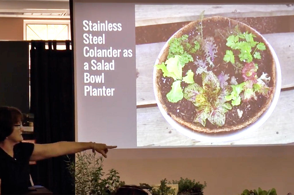 Slide: Salad colander as planter