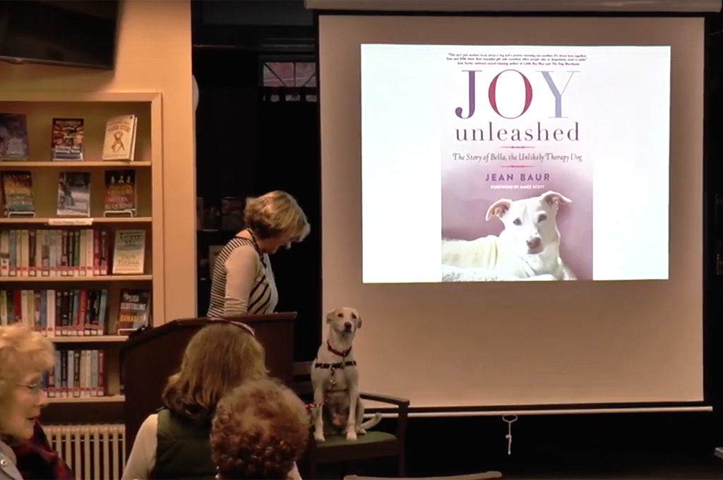 Slide: Joy Unleashed book cover